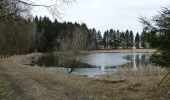 Randonnée A pied Žďár nad Sázavou - Naučná stezka Babín - Photo 10