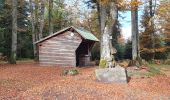 Randonnée Marche Oberhaslach - mutzig rocher - Photo 7