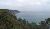 Tour Wandern Crozon - L'ile vierge - Photo 2