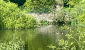 Trail Walking Paliseul - Maissin, pvl juillet 2025 - Photo 5