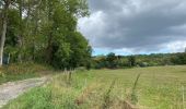 Trail Walking Profondeville - Sept Meuse Profondeville  21,4 km - Photo 8