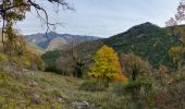 Tour Wandern Rochefourchat - Rochefourchat (ASPTT) - Photo 7