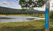 Trail Walking Lac-des-Rouges-Truites - Mont Noir de Vent - Photo 1