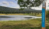 Tocht Stappen Lac-des-Rouges-Truites - Mont Noir de Vent - Photo 1