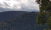 Tour Wandern Ottrott - Mont St Odile - Mur Païen - Grotte des Druides - Sentier des Merveilles - Photo 2