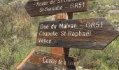 Trail Walking Courmes - Puy Naouri - Photo 2