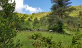 Tocht Stappen Saint-André-les-Alpes - courchons - Photo 1