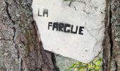Trail Walking Saint-Sauveur-Camprieu - Camprieu Peyre mâle - Photo 12