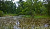 Percorso A piedi Rödelsee - Traumrunde Schwanberg - Photo 8