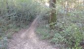 Trail Walking Amagney - Amagney Ferme de Rufille Marchaux Amagney  - Photo 3