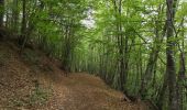 Trail Walking Forest-Saint-Julien - Aqueduc des Gorges. Circuit des Caneaux. 10/06/19. - Photo 3
