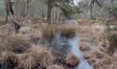 Tour Wandern Fontainebleau - Belle Croix  - Photo 8