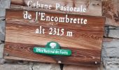 Trail Walking Colmars - col de l'encombrette pas de L'Echellette - Photo 1