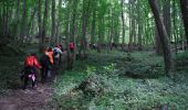 Tour Wandern Blesmes - Randonnée Blesmoise du 12 Mai 2019 - Photo 6