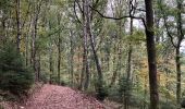 Trail Walking La Roche-en-Ardenne - Ramee  - Photo 11