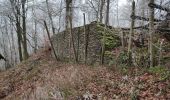Percorso Marcia Houffalize - promenade du hérou - Photo 8