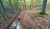 Trail Horseback riding Florenville - Les Epioux - Photo 4