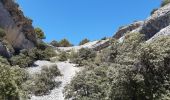 Excursión Senderismo Bédoin - La Combe de Curnier - Photo 6