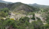 Trail Walking Fréjus - Esterel : barrage de Malpasset et lac de l'Avellan - Photo 3