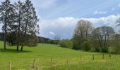 Trail Walking Florenville - 83.631 Muno -  Chassepierre   - Photo 7