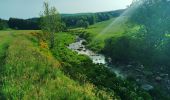 Trail Walking Sainte-Eulalie - Sainte Eulalie les sources le Gerbier - Photo 5