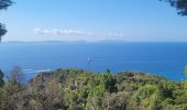 Randonnée Marche Cavalaire-sur-Mer - sortie de route - Photo 2