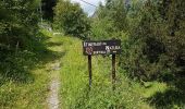 Tour Wandern Unknown - 11133234-chemin du coq_jul-2017_openrunner - Photo 9