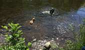 Tour Wandern Stoumont - La Gleize LG2 - Photo 2