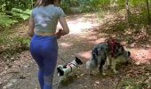 Trail Walking Chiny - Chiny version courte - Photo 7