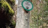Trail Walking Taintrux - Marche 17,5Km - Photo 5