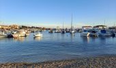 Tocht Stappen Martigues - Port de Carro - Sentier du littoral - Photo 6