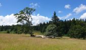 Excursión Senderismo Belmont - Tour du Champ du Feu - Photo 1