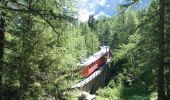 Trail Walking Chamonix-Mont-Blanc - Trajet Retour - Photo 15