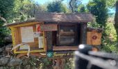 Trail Walking Labeaume - ARDECHE. LA BAUME. GORGES DE LA BAUME. LEBAUME.DOLMENS OE - Photo 10