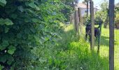 Excursión Senderismo Aire-sur-l'Adour - Aire sur l'Adour (atetier communal) - Photo 3