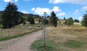 Randonnée Marche Orbey - Col du Wettstein - Hautes-Huttes - Lac du Forlet - Lac Vert - Photo 2