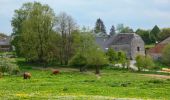 Tocht Stappen Doische - De Gochenée à Vodelée par la vallée de l'Hermeton - Photo 5