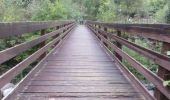 Trail On foot Ronco Canavese - Ronco Canavese - Valprato Soana, loc. Chiesale - Photo 5