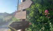 Trail Walking Aspremont - Aspremont tour du Mont Chauve, montée au fort. - Photo 13