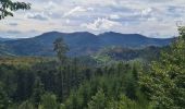 Tour Wandern Lützelhausen - Rocher de Mutzig (variante) - Photo 7