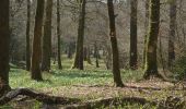 Randonnée Marche Léglise - Ebly - La Claire Fagne - Photo 9