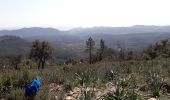 Tour Wandern Fréjus - Mont Vinaigre par Colle Douce - Photo 1