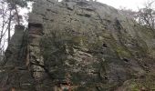 Trail On foot Nandrin - Les rochettes Bois des dames - Photo 14