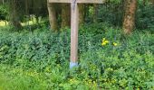 Trail Walking Vresse-sur-Semois - Allesur Semois 020625 - Photo 14