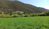 Trail Walking Plaisians - montagne de Bluye  - Photo 4