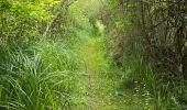 Tour Wandern La Chapelle-Enchérie - La Chapelle-Enchérie - Bois de Bricsard - Photo 19