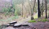 Trail On foot Malmedy - ExtraTrail 8 - Malmedy - Photo 2
