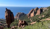 Tour Wandern Saint-Raphaël - Cap Roux et grues depuis Belle-Barbe - Photo 10