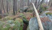 Trail Walking Fontainebleau - carrefour de Vienne 10 mars 2023  - Photo 14