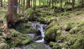 Randonnée Marche Thiéfosse - Gorges de crosery  - Photo 3